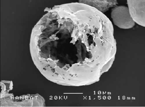 其他 PDLLA 空心結構 SEM