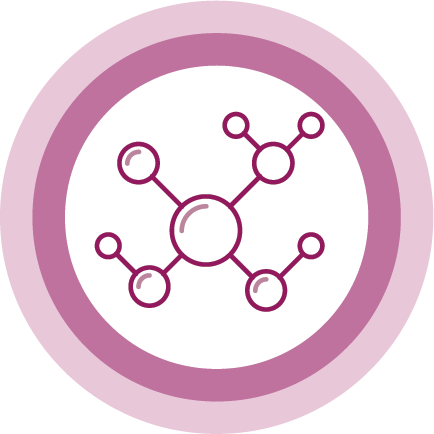 PLLA-SCA 分子